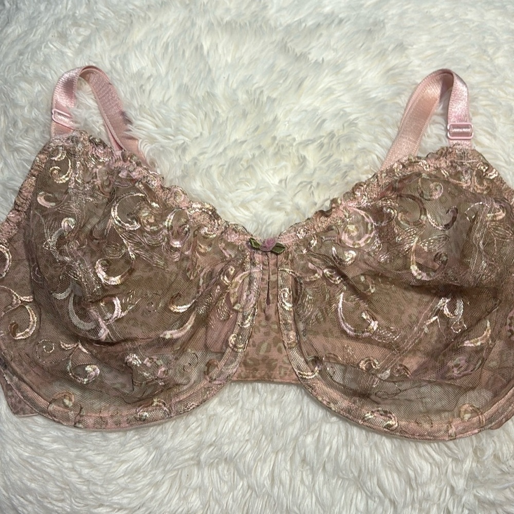 Whimsy Romantic Semi Sheer Light Pink Dainty Floral & Leopard Print Bra